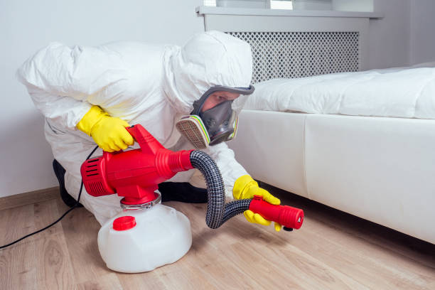 Best Residential Pest Control  in Somerset, WI